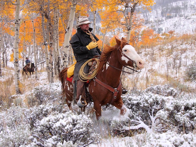 807 - EARLY SNOW ON WYOMING RANGE - DUNCAN GREG - united kingdom.jpg